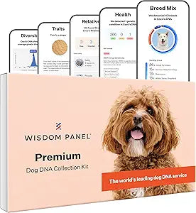 Wisdom Panel Premium Dog DNA Testing Kit - Most Comprehensive Test - 265+ Health Tests, 430+ Dog Breeds, 50+ Traits, Relatives, Ancestry, 1 Pack