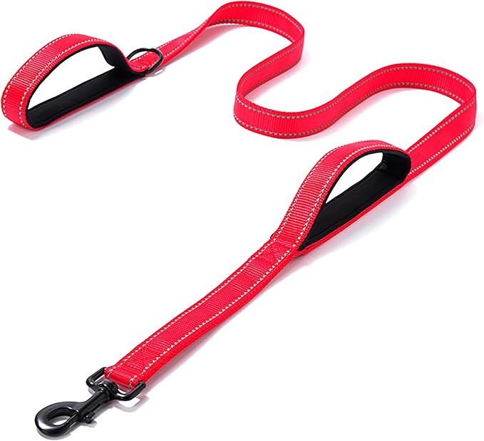 Heavy Duty Dog Leash - 2 Handles by Padded Traffic Handle for Extra Control, 6foot