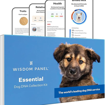 Wisdom Panel Essential Dog DNA Testing Kit - Most Accurate Test for 430+ Dog Breeds, 30 Genetic Health Conditions, 50+ Traits, Relatives, Ancestry, 1 Pack