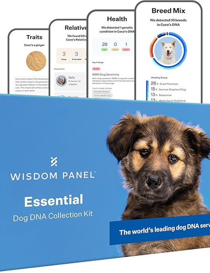Collection image for: Dog DNA and Other Test Kit