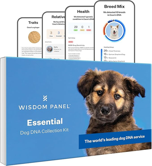 Wisdom Panel Essential Dog DNA Testing Kit - Most Accurate Test for 430+ Dog Breeds, 30 Genetic Health Conditions, 50+ Traits, Relatives, Ancestry, 1 Pack
