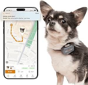 Pawfit Lite for Small Dogs 4g GPS Tracker | Real Time Tracking | Activity Monitoring |Location History