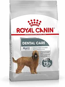 Royal Canin Dental Care Maxi Adult Dry Dog Food 9 Kg