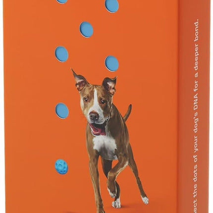DNA My Dog Premium Dog DNA Test – Identify 350+ Breeds | Genetic Health & Trait Screening | Wolf DNA & Genetic Age | Easy At-Home Cheek Swab