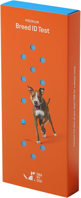 DNA My Dog Premium Dog DNA Test – Identify 350+ Breeds | Genetic Health & Trait Screening | Wolf DNA & Genetic Age | Easy At-Home Cheek Swab