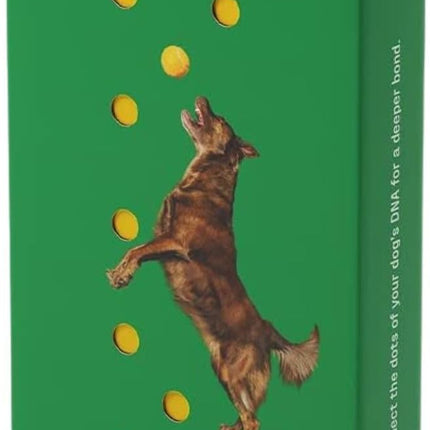 DNA MY DOG - Dog DNA Test Kit | 350+ Breeds Identified | 99%+ Accuracy | Allergy Risk Score | Personality & Behavior Insights | Results in 2-3 Weeks |