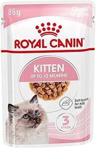 Royal Canin Kitten Chunks in Gravy Pouches Wet Cat Food 85 GMS 12 Pack