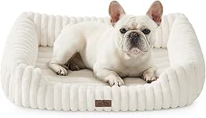 COZY KISS Orthopedic Dog Bed for Small Dogs & Medium Dogs (Cream, 76x58x18 cm)