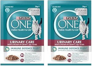 PURINA ONE Adult Wet Cat Food Urinary Care with Chicken in Gravy Pouch 24x70g