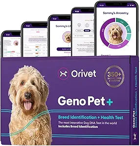 ORIVET GenoPet Plus Dog DNA Test Kit | 365+ Breed Identification & 330+ Genetic Health Conditions Included | Personalized Life Plan | At-Home Cheek Swab | Results in Approximately 3–5 Weeks