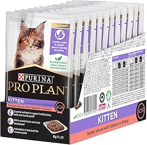 PRO PLAN Kitten Wet Cat Food Salmon in Gravy 12x85g