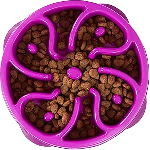 Collection image for: Pet Feeder & Water Supplies