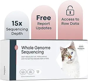 Basepaws Cat DNA Test Kit - Comprehensive Breed, Health and Dental Analysis Across 114 Traits for Accurate and Easy-to-Use Genetic Insights (Cat Whole Genome Sequencing, Basic)