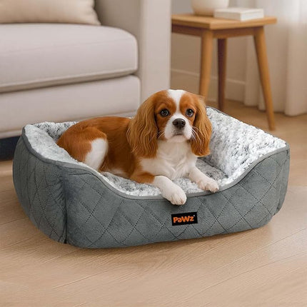 Pawz Dog Bed for Medium Dogs,Rectangle Dog Bed,Orthopedic Dog Bed,Soft Calming Pet Bed,Dog Sofa Beds with Raised Edges,Non-Slip Bottom,Removable Cover,Machine Washable,Grey