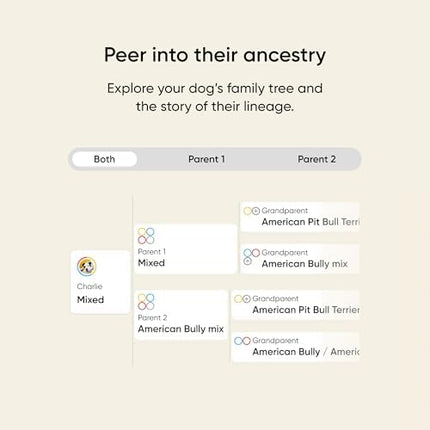 Embark Breed & Health Dog DNA Test - 400+ Breeds, 270+ Health Conditions, Allergy Risk Score, Relatives, and More (Pack of 2)
