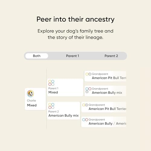 Embark Breed & Health Dog DNA Test - 400+ Breeds, 270+ Health Conditions, Allergy Risk Score, Relatives, and More (Pack of 2)