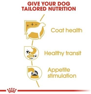 Royal Canin Chihuahua Adult Loaf Pouches Wet Dog Food 85 Gm 12 Pack