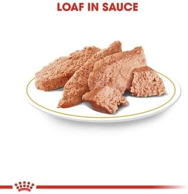 Royal Canin Chihuahua Adult Loaf Pouches Wet Dog Food 85 Gm 12 Pack
