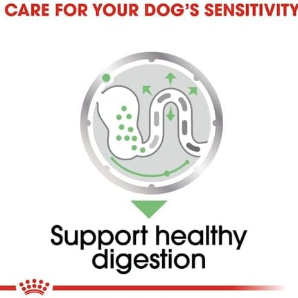 Royal Canin Digestive Care Adult Loaf Pouches Wet Dog Food 85 GMS 12 Pack