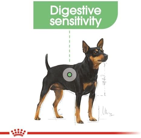 Royal Canin Digestive Care Adult Loaf Pouches Wet Dog Food 85 GMS 12 Pack