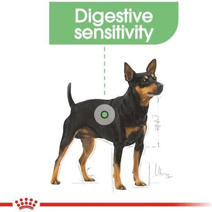 Royal Canin Digestive Care Adult Loaf Pouches Wet Dog Food 85 GMS 12 Pack