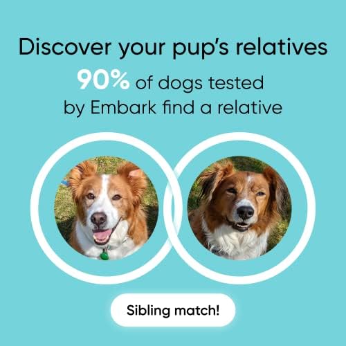 Embark Breed Identification Dog DNA Test & Dog Age Test Bundle - Discover Breed, Ancestry, Relatives, and Birthday