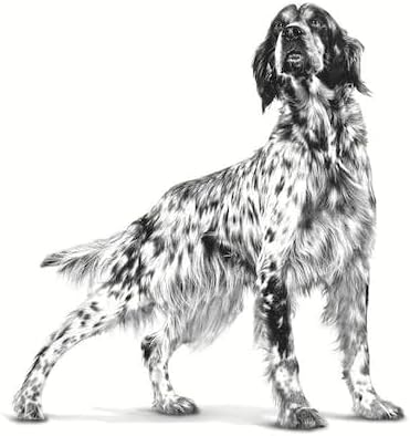 Royal Canin Veterinary Gastro Intestinal Low Fat Dry Dog Food - 1.5kg