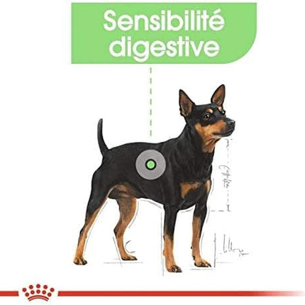 Royal Canin Digestive Care Adult Loaf Pouches Wet Dog Food 85 GMS 12 Pack