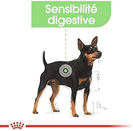 Royal Canin Digestive Care Adult Loaf Pouches Wet Dog Food 85 GMS 12 Pack