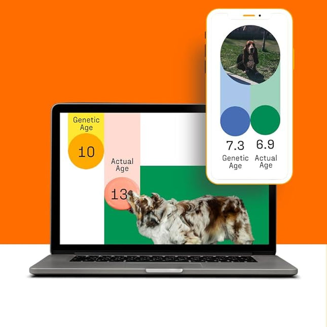 DNA My Dog Premium Dog DNA Test – Identify 350+ Breeds | Genetic Health & Trait Screening | Wolf DNA & Genetic Age | Easy At-Home Cheek Swab