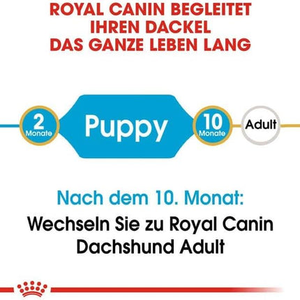 Royal Canin BHN Dachshund Puppy for 1.5kg