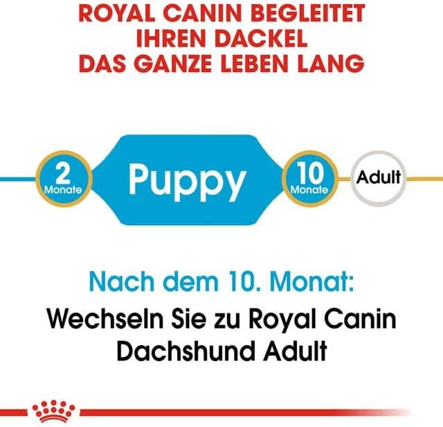 Royal Canin BHN Dachshund Puppy for 1.5kg