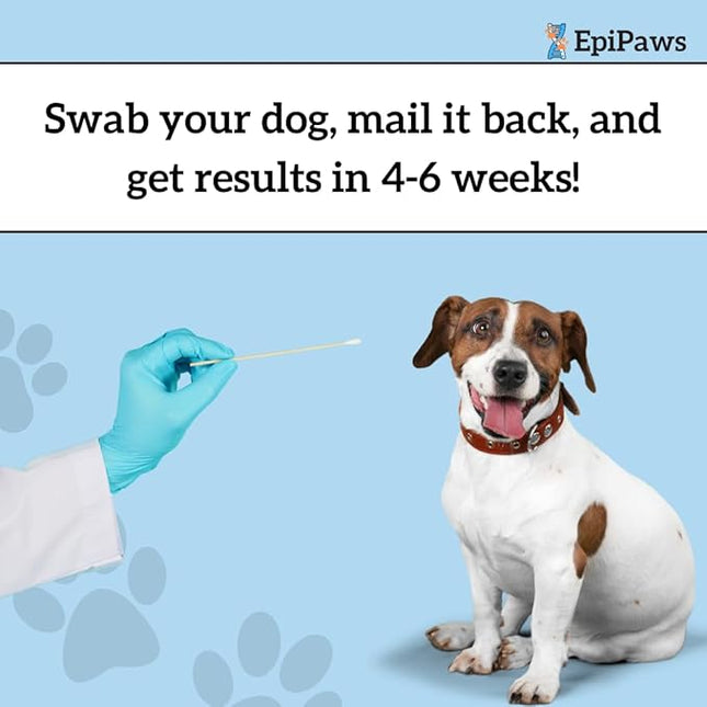 Dog Age Test - Includes Wellness Insights for Your Pet’s Life Stage - At Home Epigenetic Biomarker Testing Kit, Great for Rescued Pets