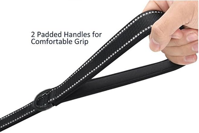 Heavy Duty Dog Leash - 2 Handles by Padded Traffic Handle for Extra Control, 6foot