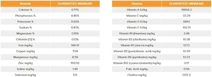Prime100 SPD Air Kangaroo & Pumpkin Adult Dry Dog Food 600G