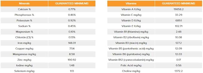 Prime100 SPD Air Kangaroo & Pumpkin Adult Dry Dog Food 600G