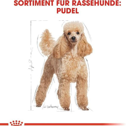 Royal Canin Adult Poodle Chicken Dry Food 1.5 kg