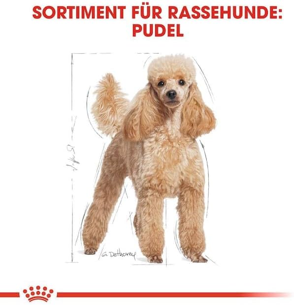 Royal Canin Adult Poodle Chicken Dry Food 1.5 kg