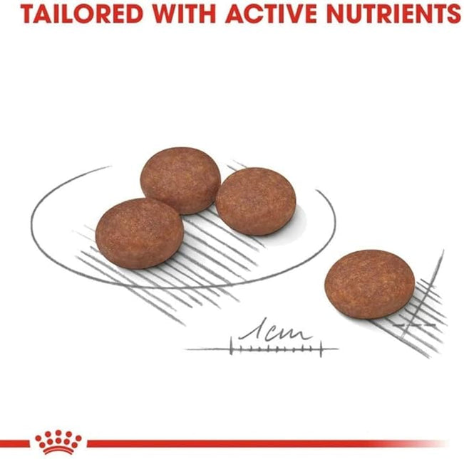 Royal Canin Digestive Care Mini Adult Dry Dog Food 3 Kg