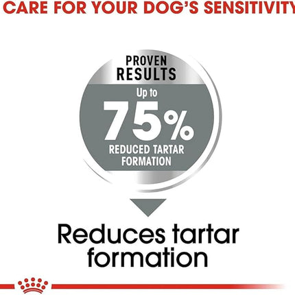 Royal Canin Dental Care Maxi Adult Dry Dog Food 9 Kg