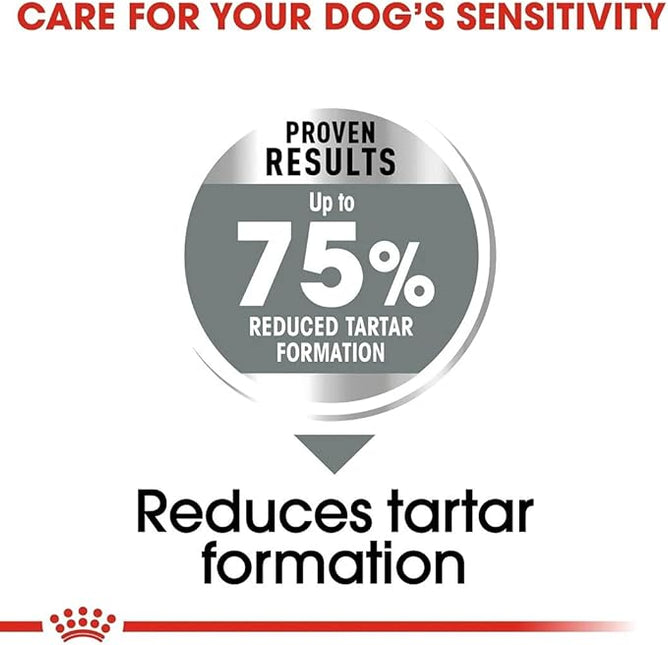 Royal Canin Dental Care Maxi Adult Dry Dog Food 9 Kg