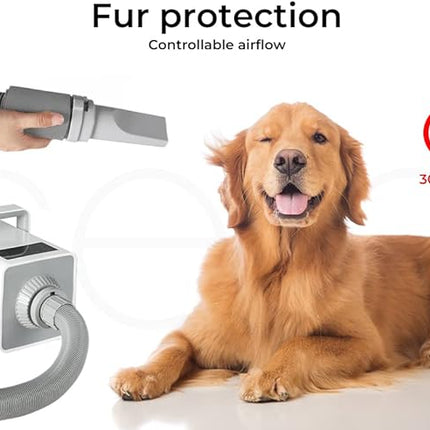 PaWz Pet Grooming Hair Dryer Dog Cat Speed Blower Heater Low Noise 3200W White, Anion Wind Hairdryer, Dog Grooming Kit with Hair Brush, Thermal and Airflow Control, Insulated Handle, Large Touch Panel