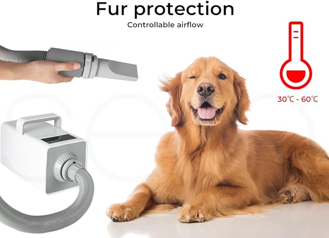 PaWz Pet Grooming Hair Dryer Dog Cat Speed Blower Heater Low Noise 3200W White, Anion Wind Hairdryer, Dog Grooming Kit with Hair Brush, Thermal and Airflow Control, Insulated Handle, Large Touch Panel