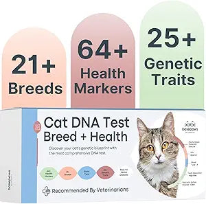 Basepaws Cat DNA Test Kit - Comprehensive Breed, Health and Dental Analysis Across 114 Traits for Accurate and Easy-to-Use Genetic Insights
