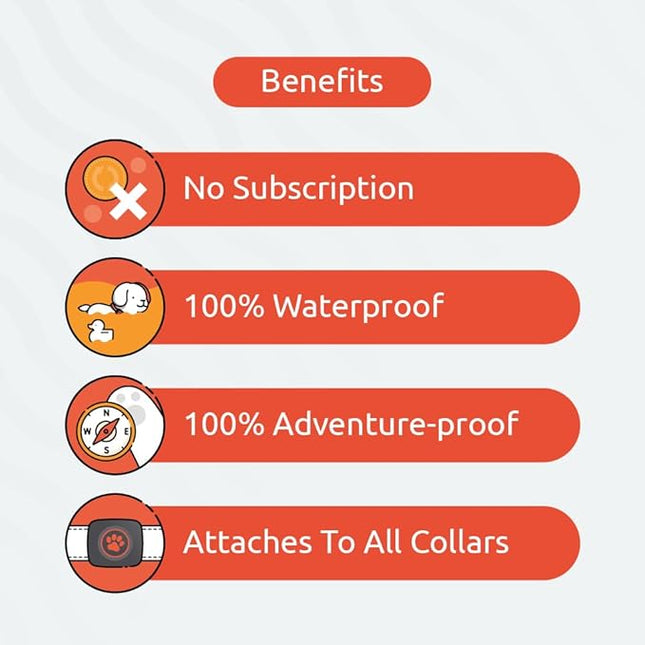 PitPat Dog Activity and Fitness Monitor (No GPS) - No Recharging or Subscription Required - Suitable for All Dogs and Fits All Collars - Smart Activity Tracker - 100% Waterproof Dog Fitness Tracker