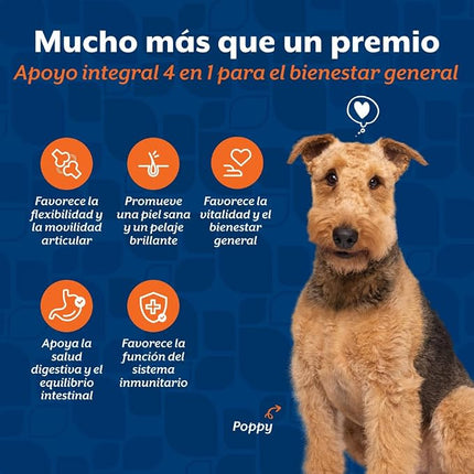 NaturVet Aller-911 Advanced Allergy Aid for Dogs & Cats - 180 Soft Chews