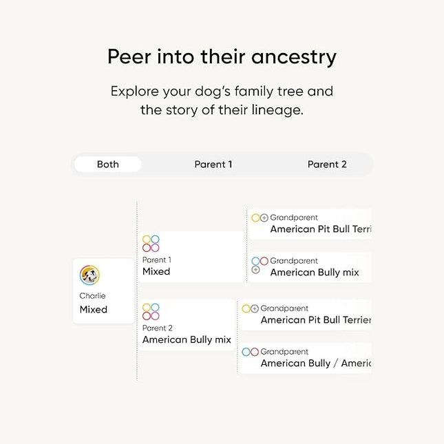 Embark Breed Identification Kit - Most Accurate Dog DNA Testing Kit - 99% Breed Ancestry Accuracy for Mixed Breed Dogs - Plus Relative Finder & Family Tree
