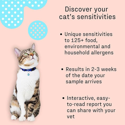 DNA MY DOG – Cat Allergy Test | Vet Recommended Test for Itchy, Sensitive Cats | Easy-to-Use Kit
