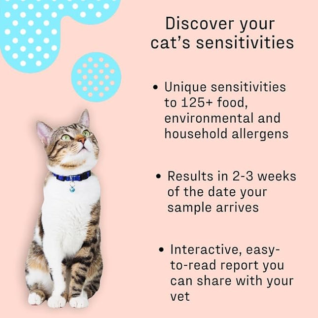 DNA MY DOG – Cat Allergy Test | Vet Recommended Test for Itchy, Sensitive Cats | Easy-to-Use Kit