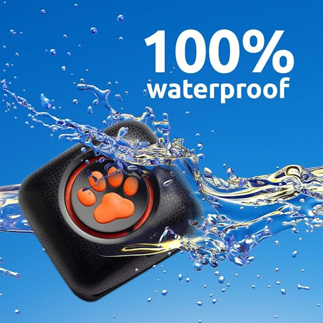PitPat Dog Activity and Fitness Monitor (No GPS) - No Recharging or Subscription Required - Suitable for All Dogs and Fits All Collars - Smart Activity Tracker - 100% Waterproof Dog Fitness Tracker